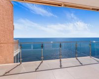 Obra nueva - Apartamento - Torrevieja