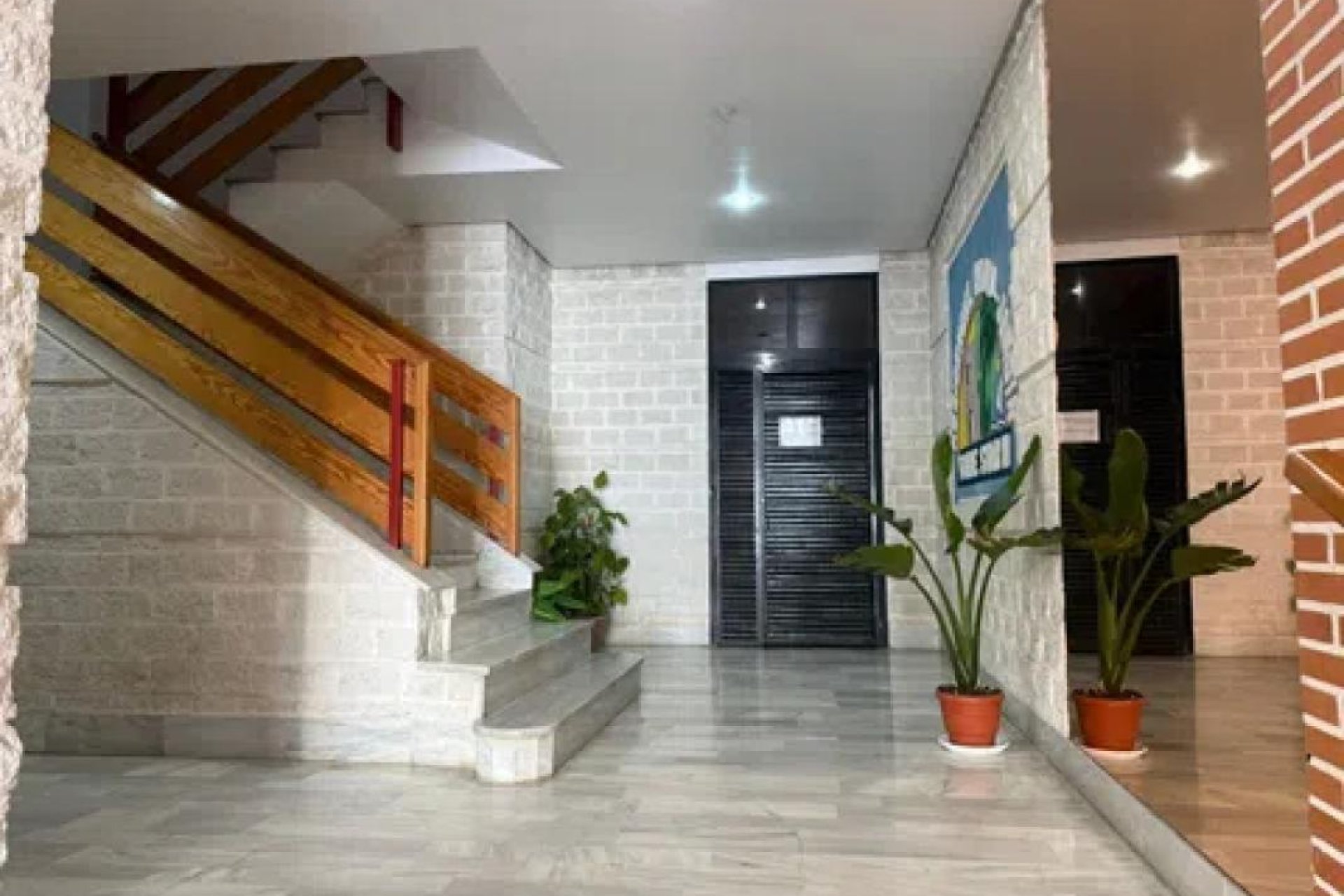 Obra nueva - Apartamento - Torrevieja