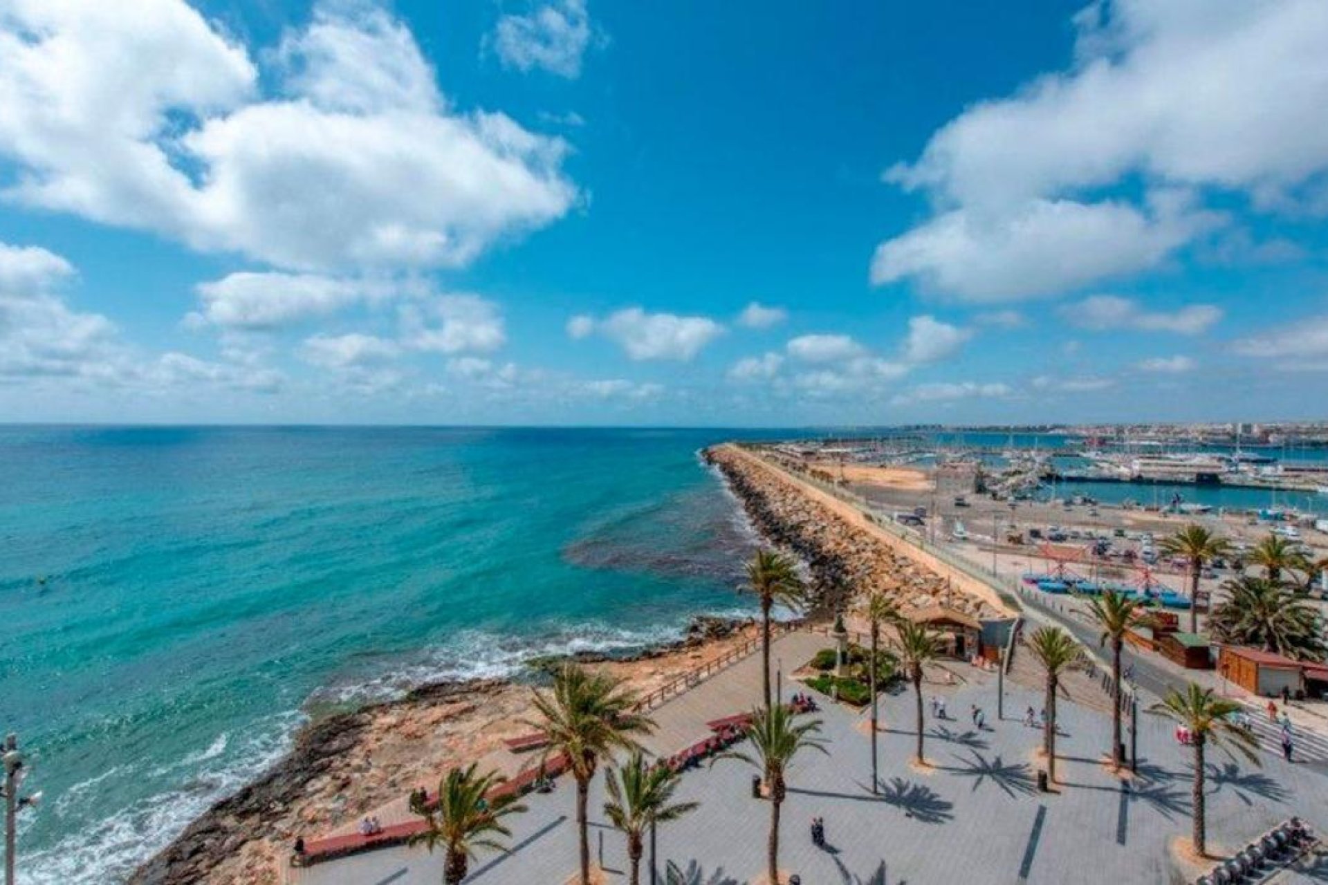 Obra nueva - Apartamento - Torrevieja