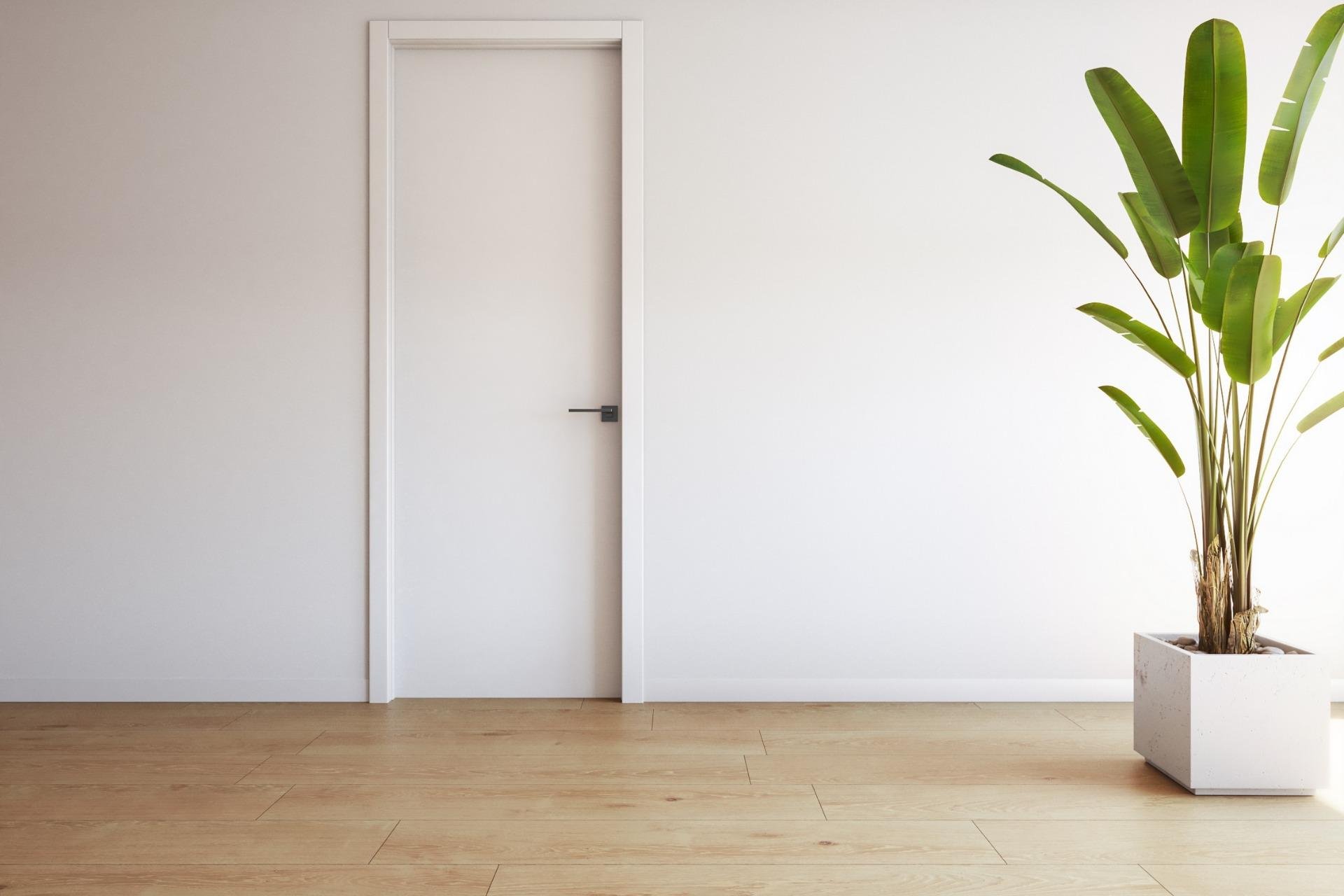 Obra nueva - Apartamento - Torrevieja