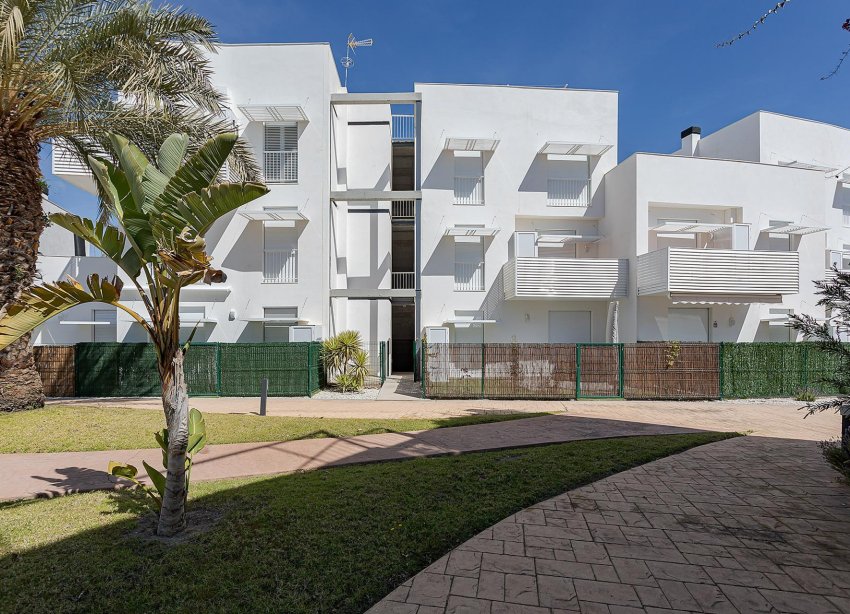 Obra nueva - Apartamento - Vera