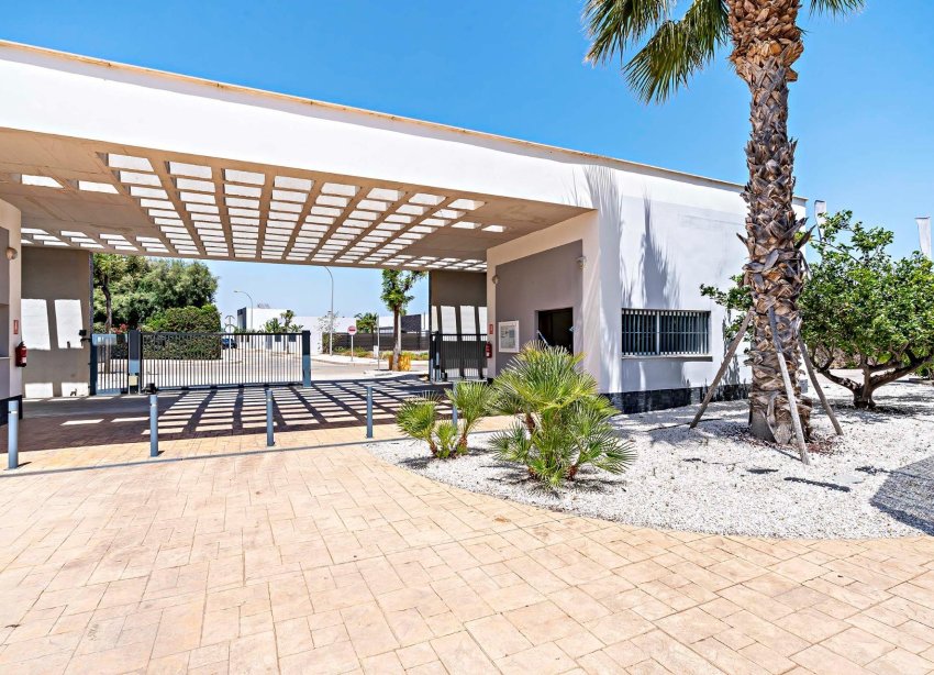 Obra nueva - Apartamento - Vera