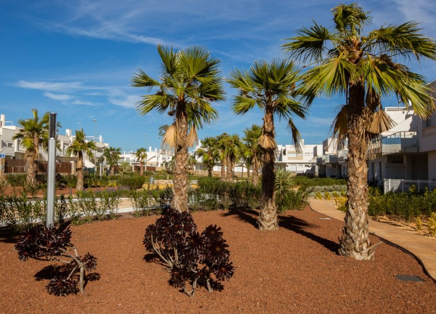 Obra nueva - Apartamento - Vistabella Golf - Vista Bella