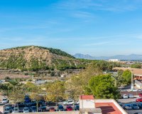 Obra nueva - Apartment - Guardamar del Segura - Centro