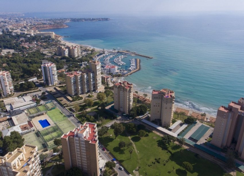 Obra nueva - Apartment - Orihuela Costa - Campoamor