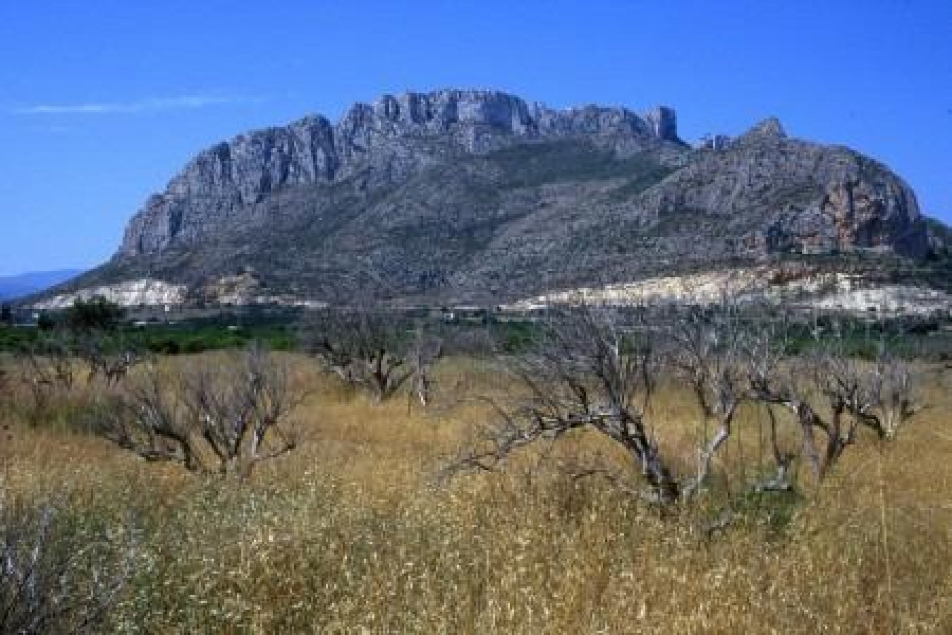 Obra nueva - Apartmento - Denia - El Verger