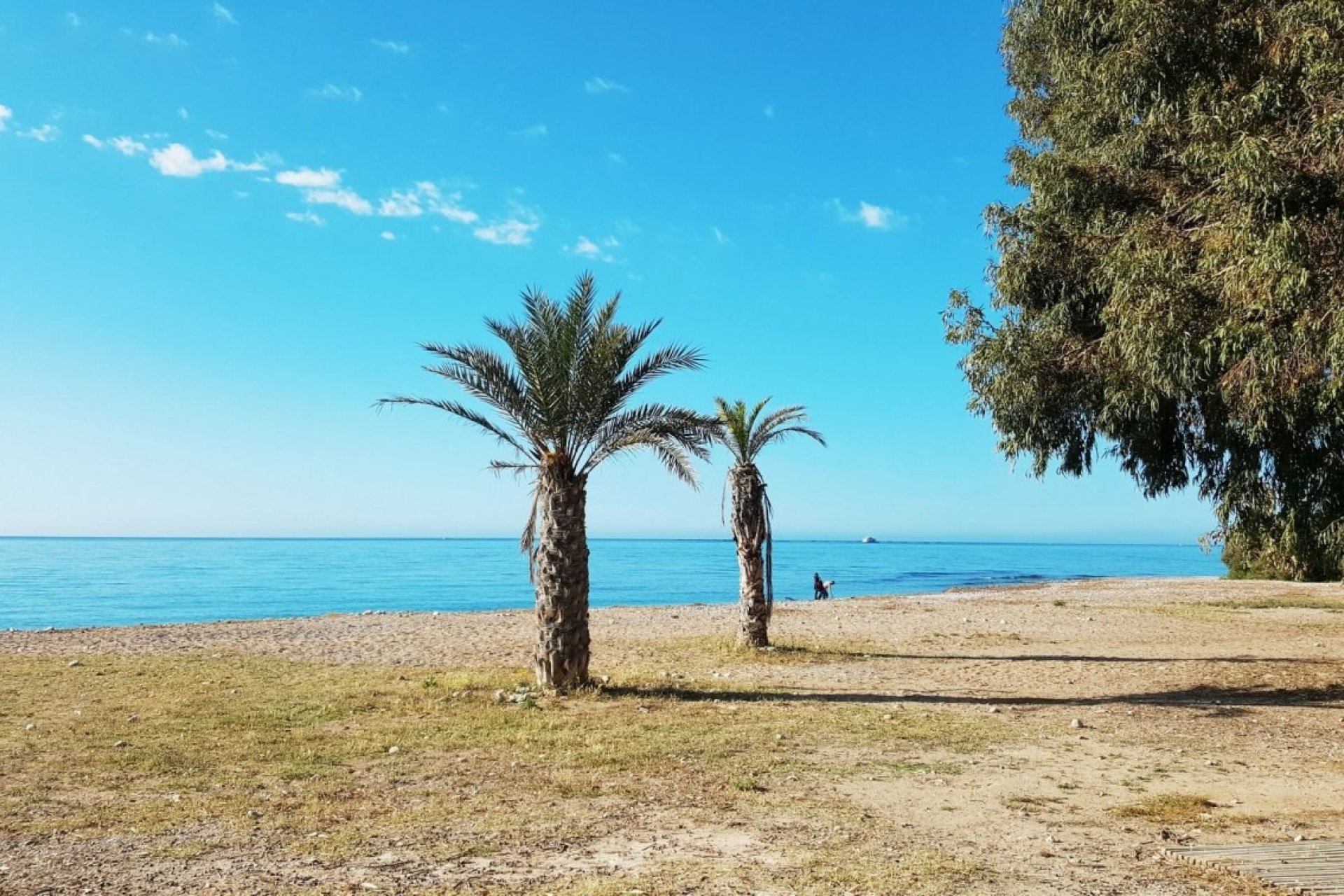 Obra nueva - Apartmento - Villajoyosa - Playa Les Torres