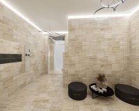 Obra nueva - Áticos - Alicante