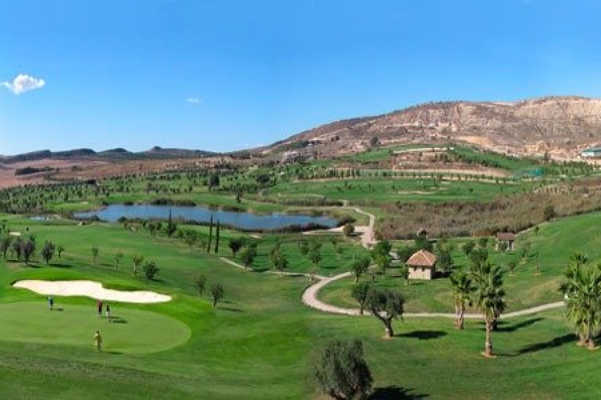 Obra nueva - Bungalow - Algorfa - La Finca Golf