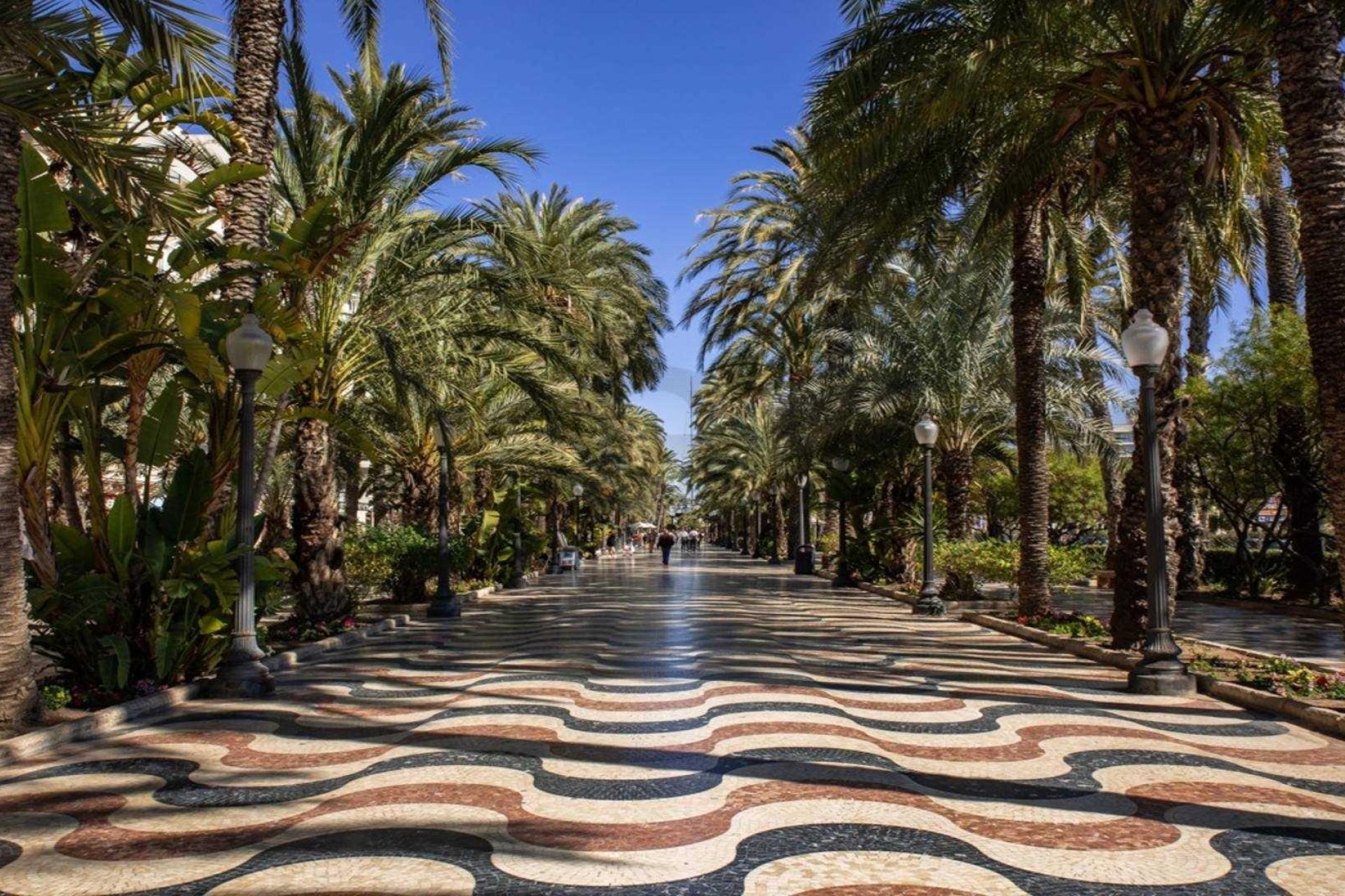 Obra nueva - Bungalow - Alicante