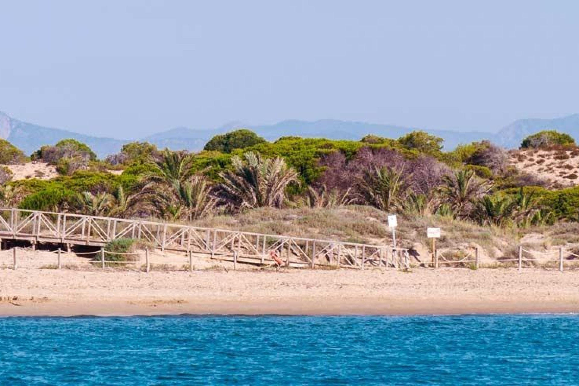 Obra nueva - Bungalow - Guardamar del Segura - Pueblo