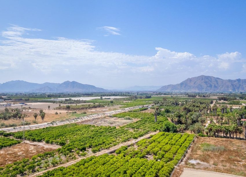 Obra nueva - Bungalow - Jacarilla - pueblo