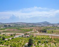 Obra nueva - Bungalow - Jacarilla - pueblo