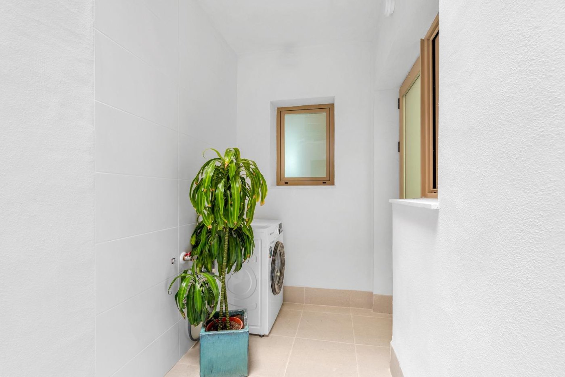 Obra nueva - Bungalow - Jacarilla