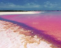 Obra nueva - Bungalow - Los Balcones, Torrevieja - Los Balcones