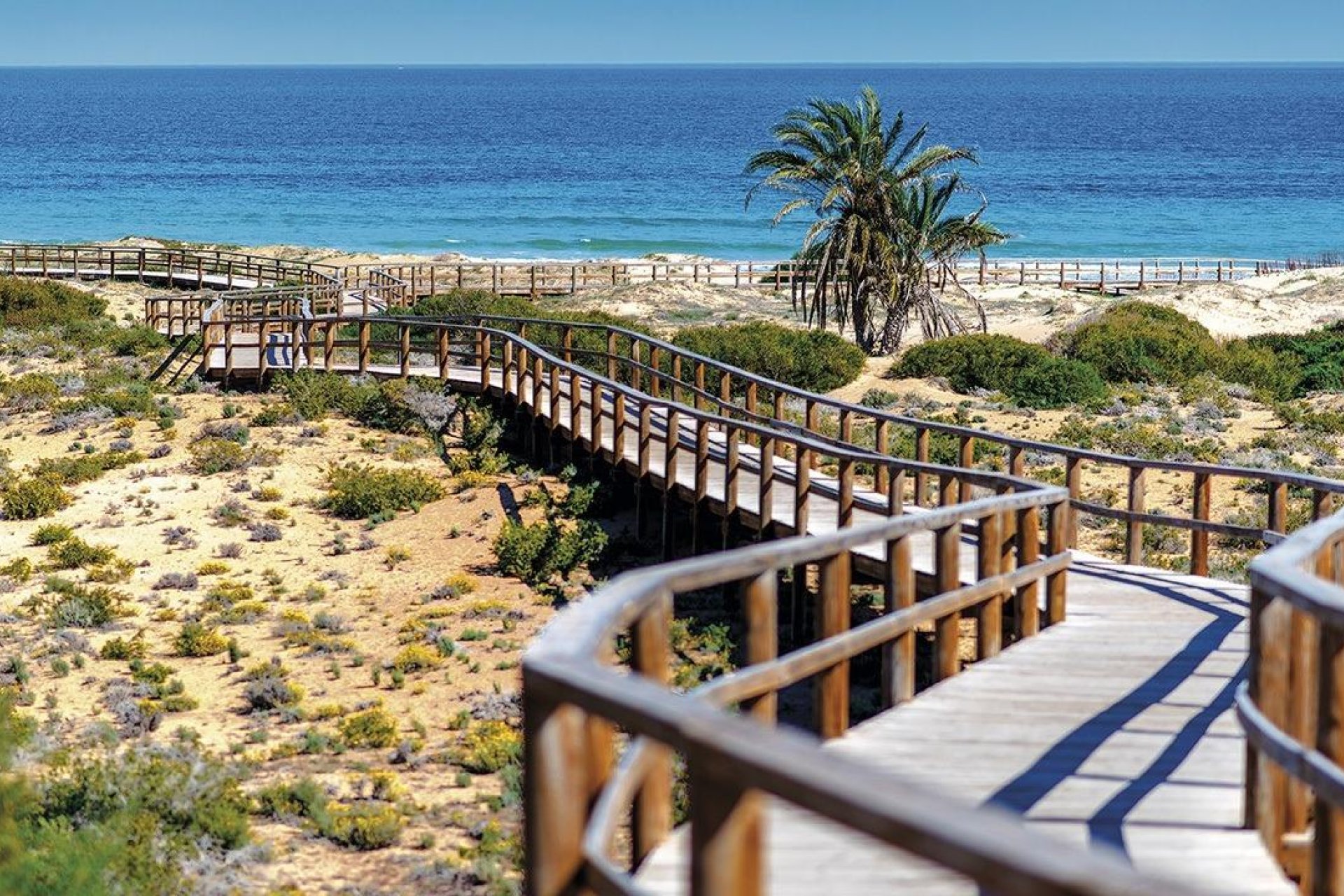 Obra nueva - Bungalow - Monforte del Cid