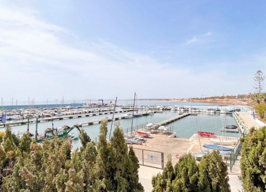 Obra nueva - Bungalow - Pilar de la Horadada - Torre de la Horadada