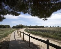 Obra nueva - Bungalow - Torrevieja - Aguas Nuevas