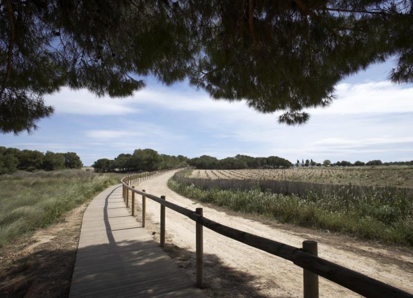 Obra nueva - Bungalow - Torrevieja - Altos del Sol