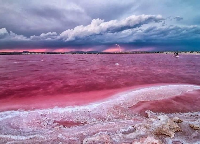 Obra nueva - Bungalow - Torrevieja - Centro