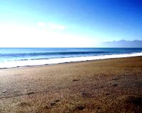 Obra nueva - Bungalow - Torrevieja - Centro