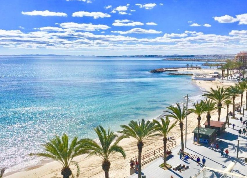 Obra nueva - Bungalow - Torrevieja - Lago Jardin