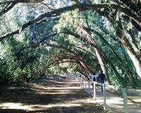 Obra nueva - Bungalow - Torrevieja