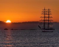 Obra nueva - Bungalow - Villajoyosa - Cala de Finestrat