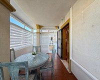 Obra nueva - Casas adosadas - Orihuela