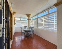 Obra nueva - Casas adosadas - Orihuela