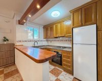 Obra nueva - Casas adosadas - Orihuela