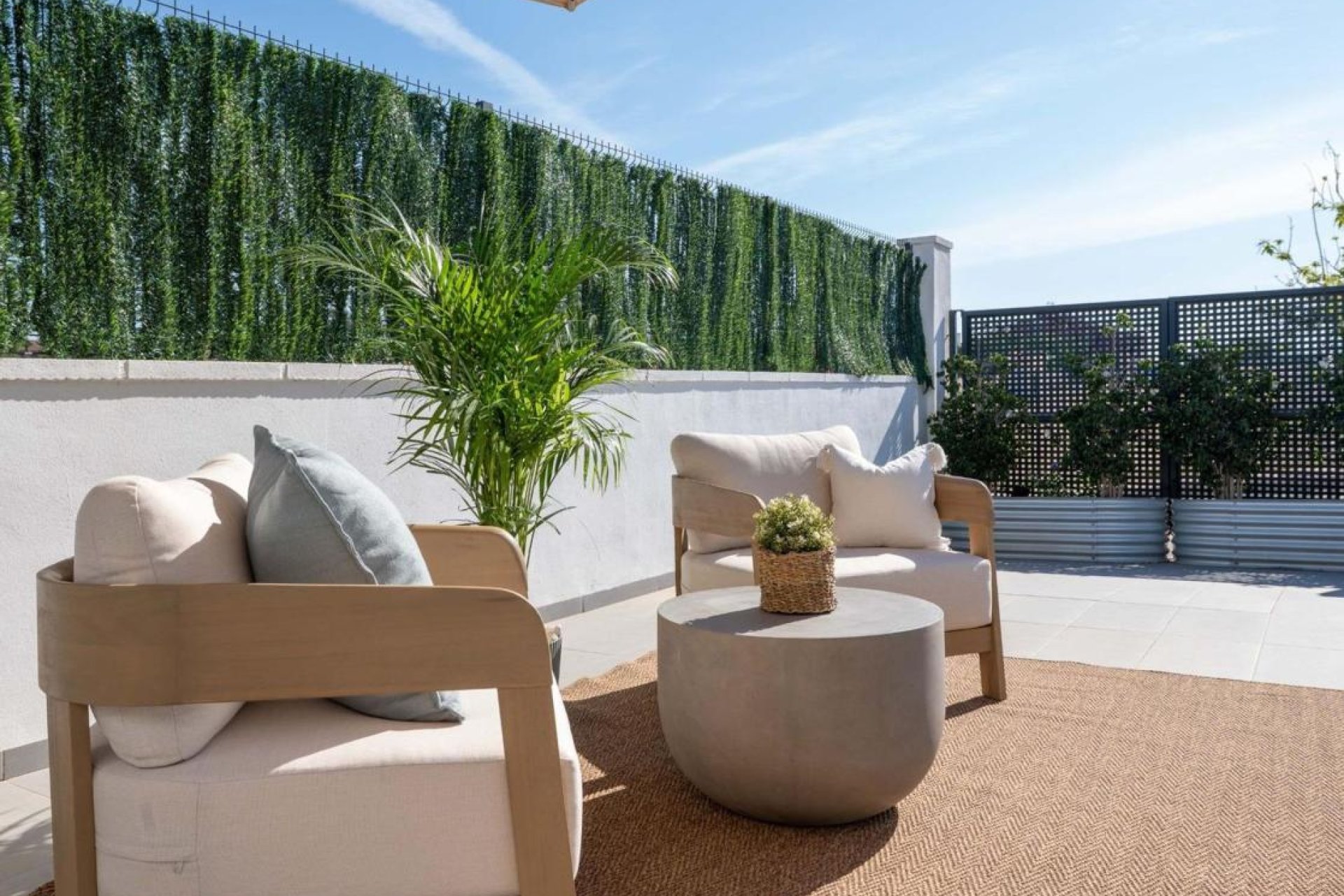 Obra nueva - Casas - Bigastro