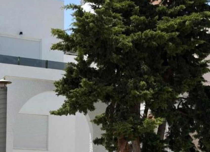 Obra nueva - Casas - Torrevieja