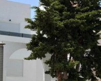 Obra nueva - Casas - Torrevieja