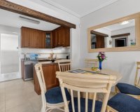 Obra nueva - Casas - Torrevieja