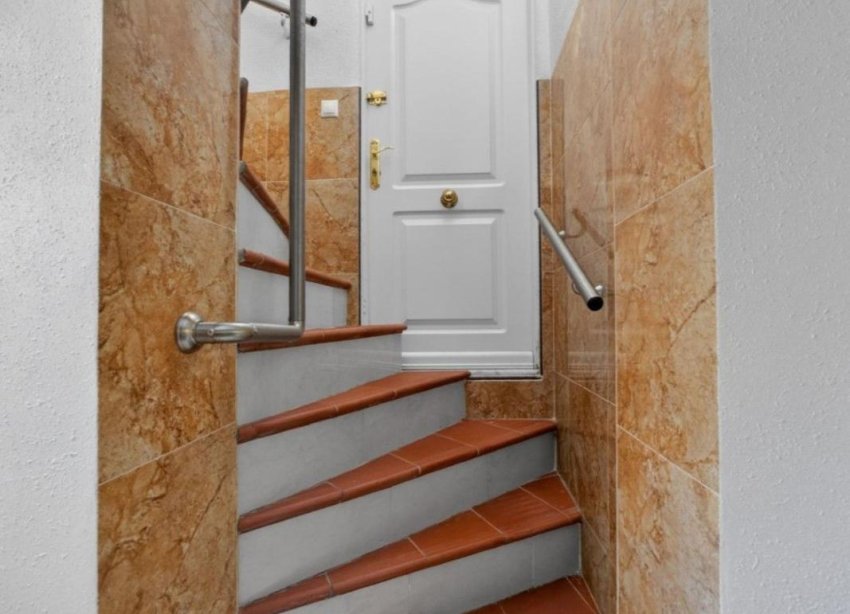 Obra nueva - Casas - Torrevieja