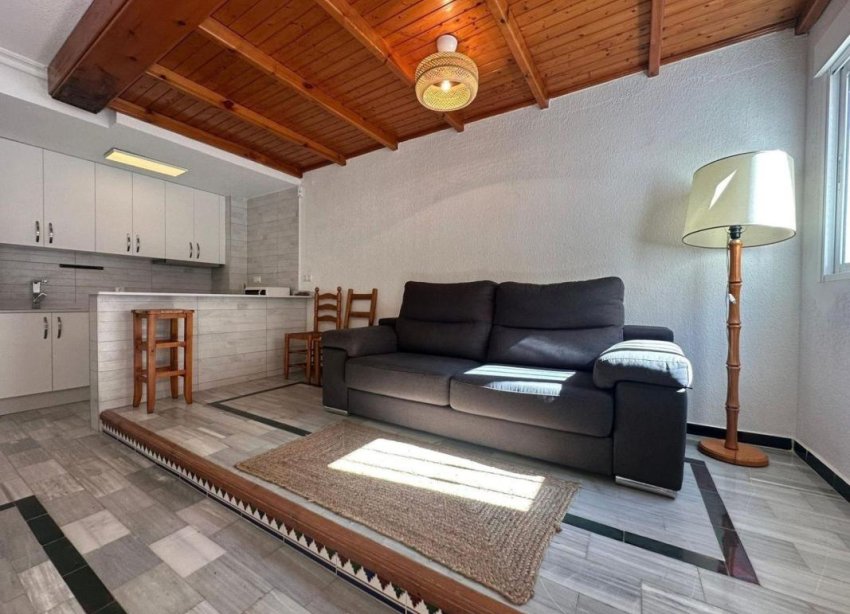 Obra nueva - Casas - Torrevieja
