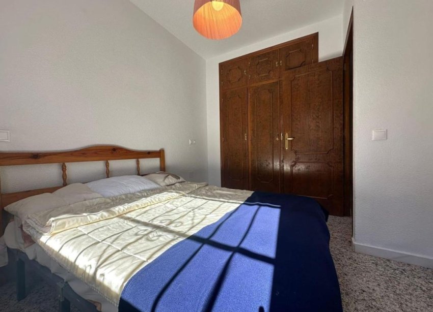 Obra nueva - Casas - Torrevieja