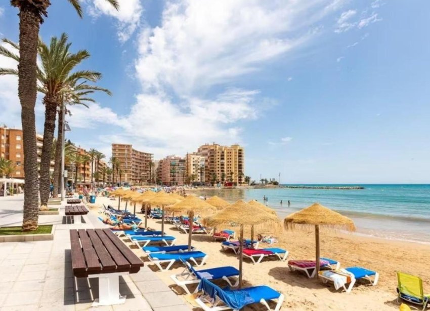 Obra nueva - Casas - Torrevieja