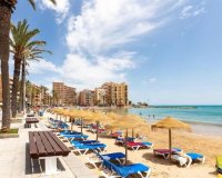 Obra nueva - Casas - Torrevieja