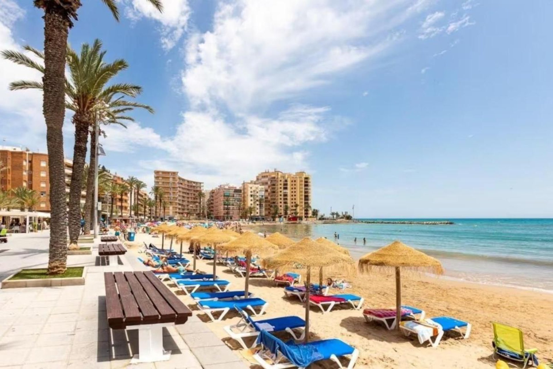 Obra nueva - Casas - Torrevieja