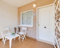 Obra nueva - Casas - Torrevieja