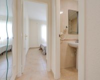 Obra nueva - Casas - Torrevieja
