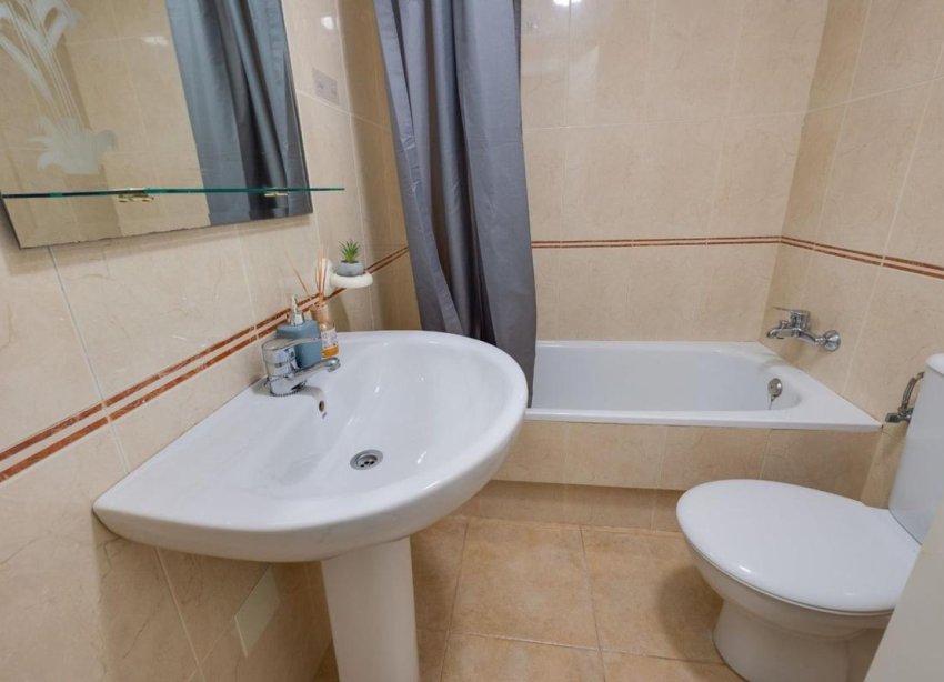 Obra nueva - Casas - Torrevieja