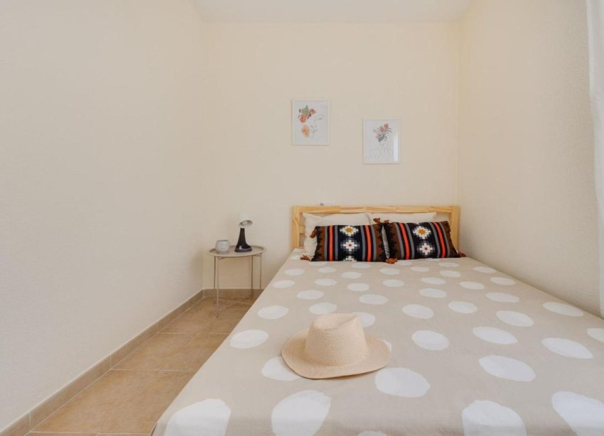 Obra nueva - Casas - Torrevieja