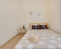 Obra nueva - Casas - Torrevieja