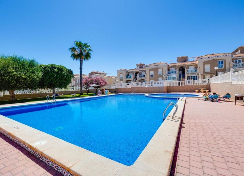 Obra nueva - Casas - Torrevieja