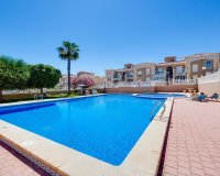 Obra nueva - Casas - Torrevieja