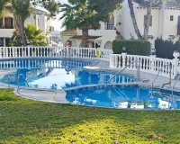 Obra nueva - Chalet independiente - Torrevieja