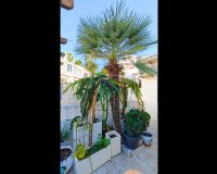 Obra nueva - Chalet independiente - Torrevieja